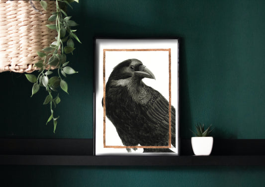 Blackbird - Art Print